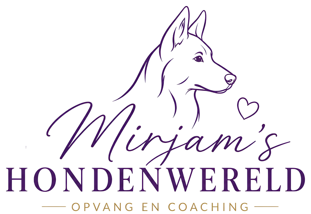 mirjams-hondenwereld